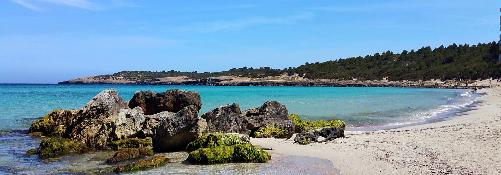 Transfer Mallorca Airport to Cala Millor | Transbalear